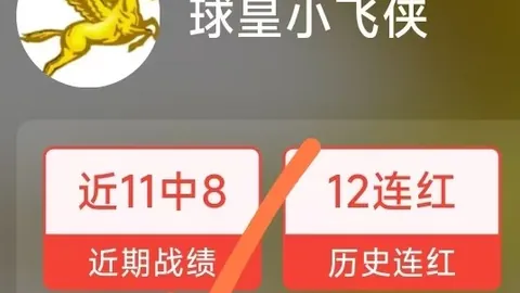 世界杯下注，赌注策略， 103947 4